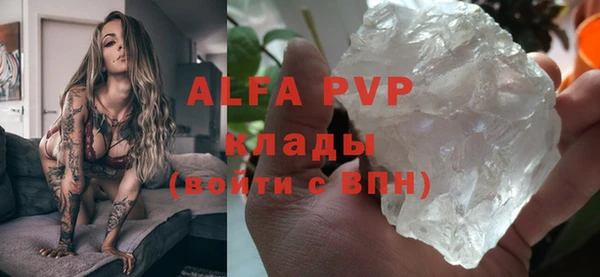 прущие грибы Липки