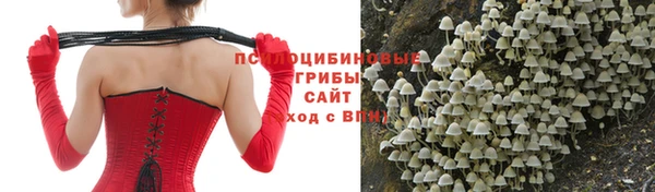 индика Лиски