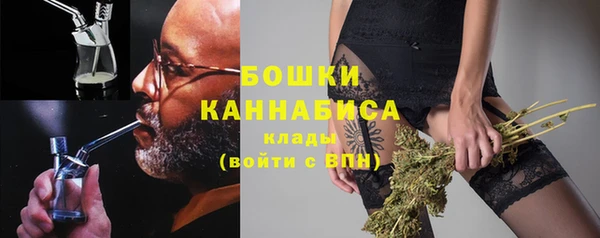 дживик Магас