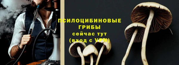 прущие грибы Липки