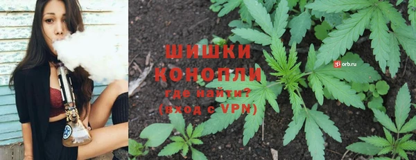 прущие грибы Липки