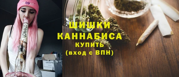 индика Лиски