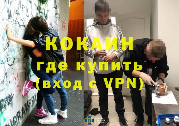 прущие грибы Липки
