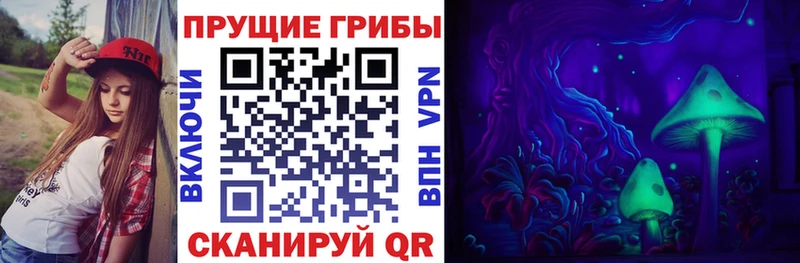 Купить где  Вышний Волочёк  Галлюциногенные грибы Psilocybine cubensis 